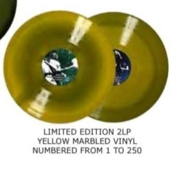 PINK FLOYD 2 LP Vinyl German Warm Glow #’d copy Marbled Green or Yellow Live New - Picture 6 of 7